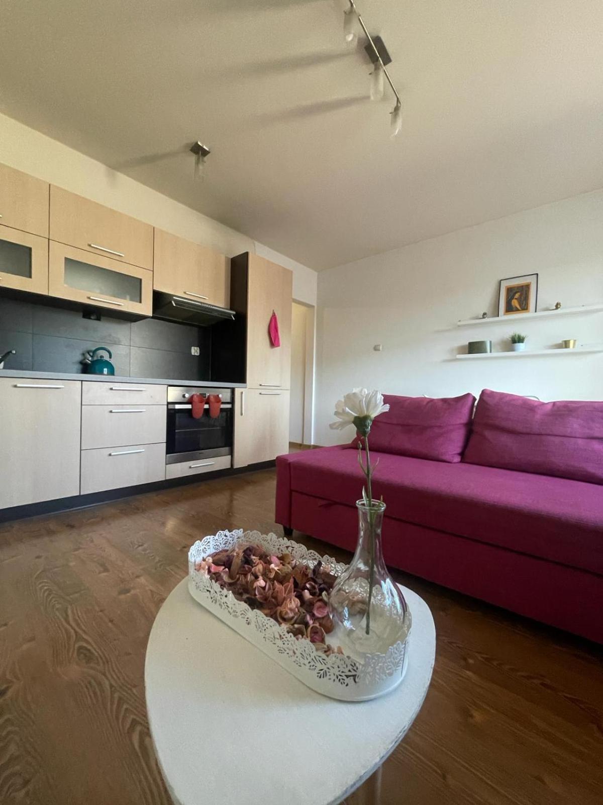 Apartamento Przystan Dolnych Mlynow Cracovia Exterior foto